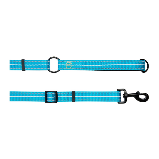 Reflective Leash - Neon Blue