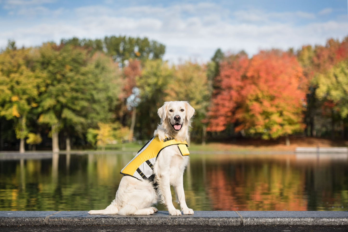 Chaleco salvavidas GF PET - Chaleco salvavidas para perros