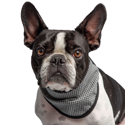 US Army Dog Cooling Bandana - Keep Your Pet Cool and Comfortable