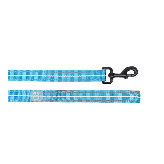 Reflective Leash - Neon Blue