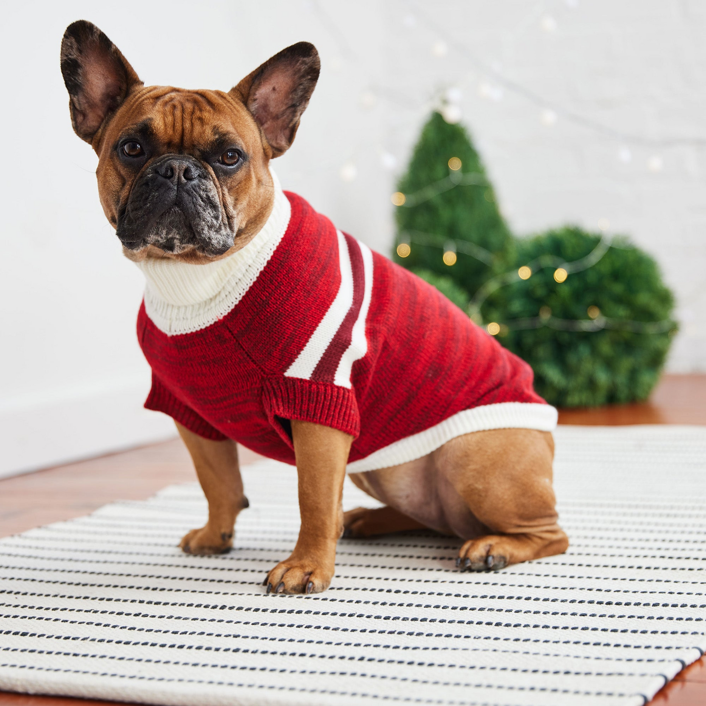 GF PET Trekking Sweater - Red