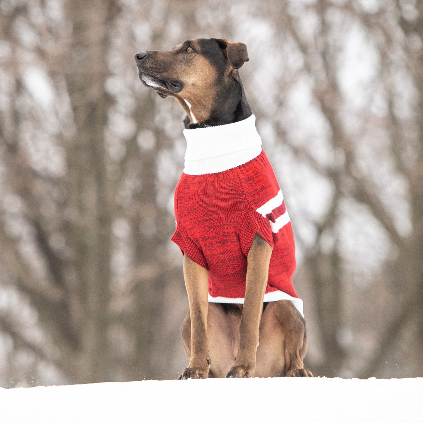 Jersey de trekking GF PET - Rojo