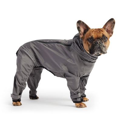 GF Pet Splash Suit - Charcoal