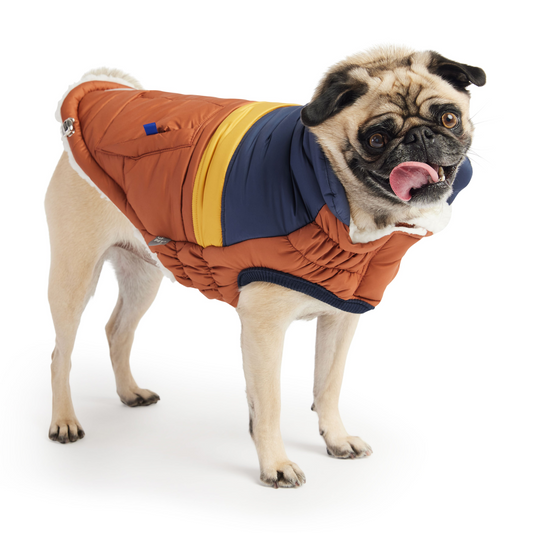 GF PET Retro Puffer - Hazel